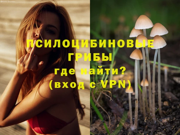таблы Беломорск