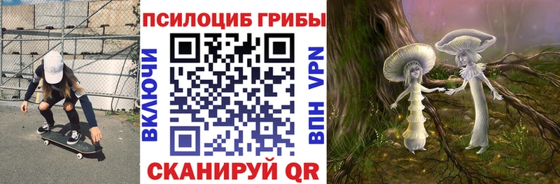 Псилоцибиновые грибы мицелий Бузулук